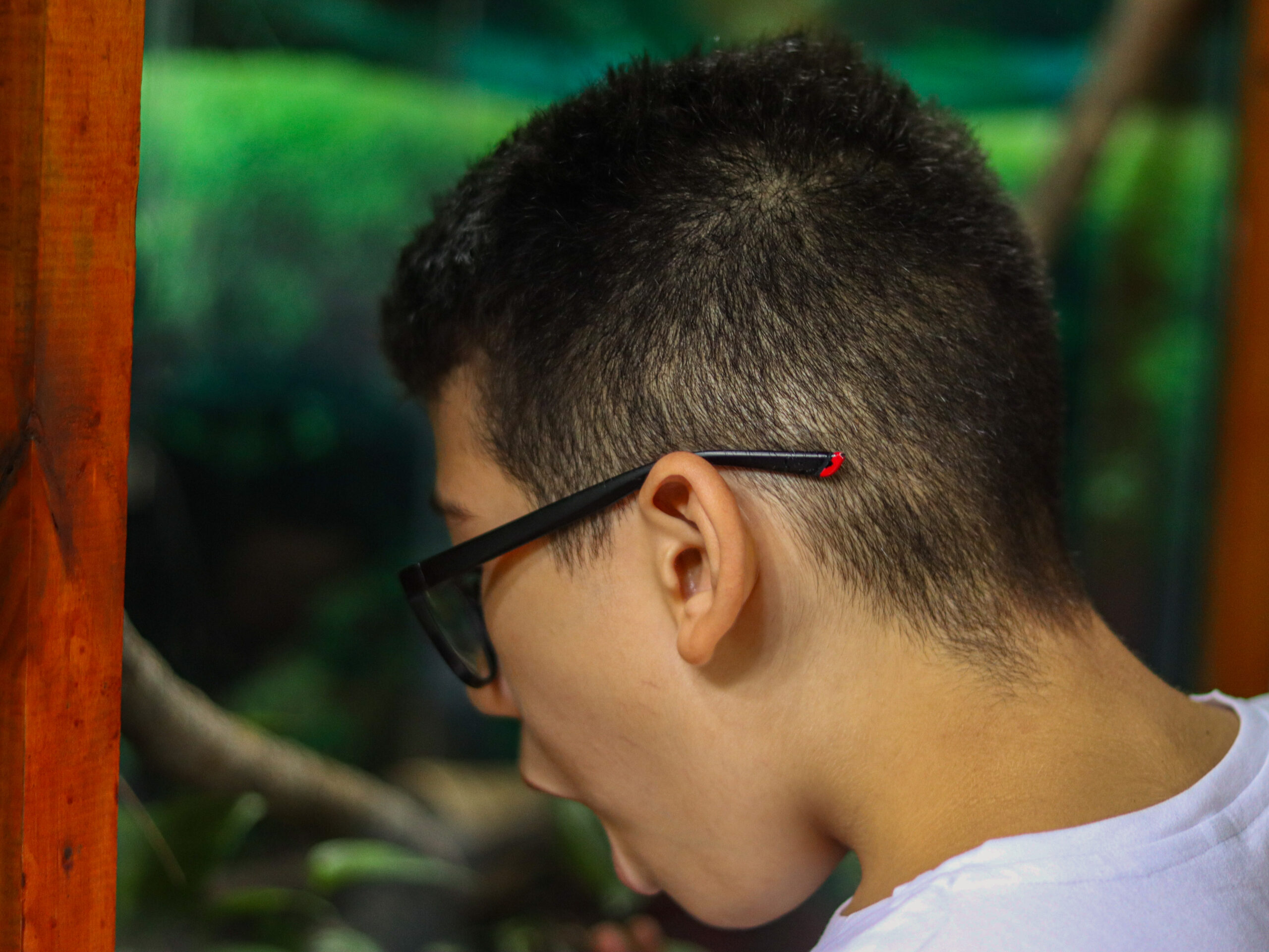 A boy, one kid from Casa de Suenos, enthralled with a zoo exhibit