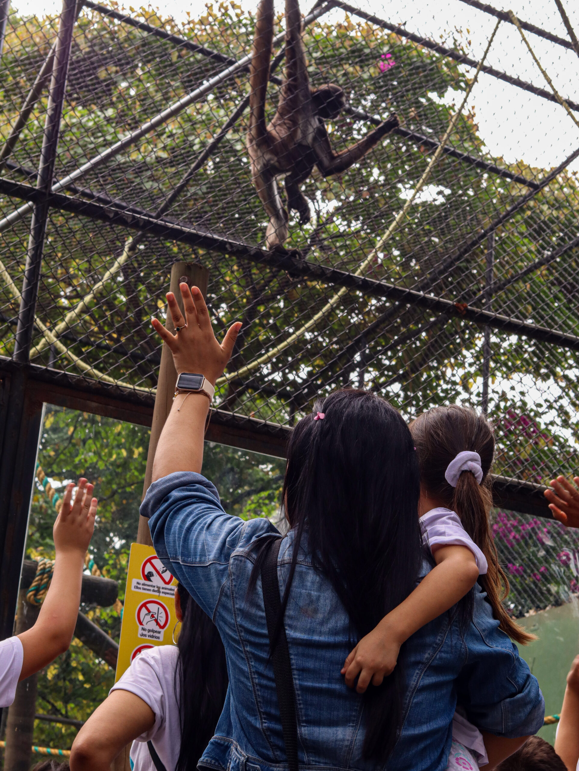 profesora con un niño de Casa de Suenos, mirando a un mono en el zoológico.